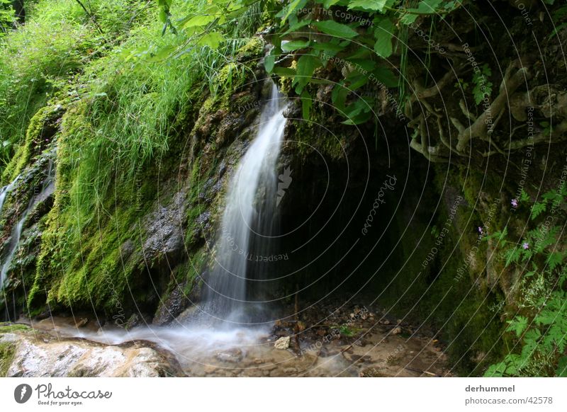 Wasserfall grün Bach Flußbett kleiner wasserfall Natur Stein