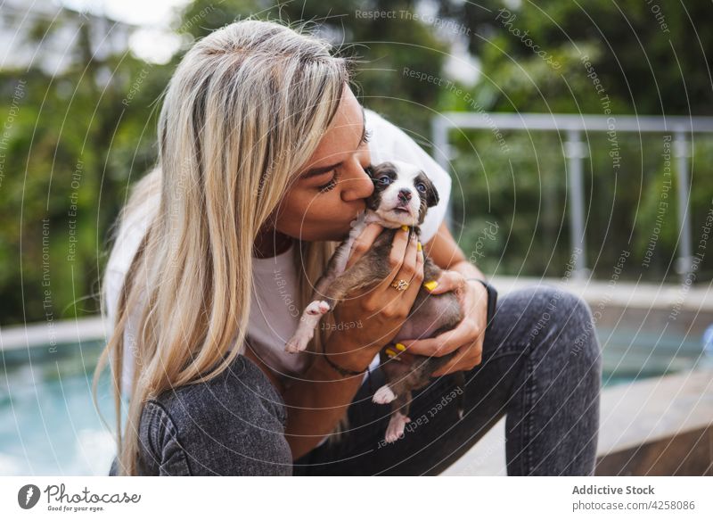 Frau küsst süßen reinrassigen Welpen auf Terrasse Kuss Umarmen Border Collie Hund Haustier Eckzahn charmant Zuneigung Tier Begleiter Gelassenheit Veranda