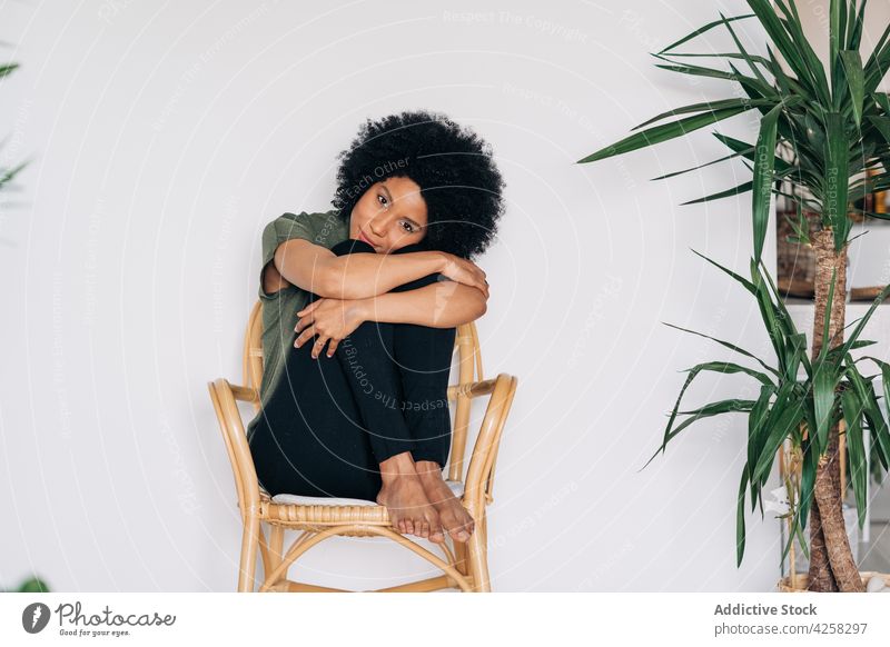 Schwarze Frau stützt das Kinn auf die Hände auf einem Holzstuhl Vorschein positiv selbstbewusst Lächeln Zeitgenosse charismatisch Freude Barfuß schwarz Glück