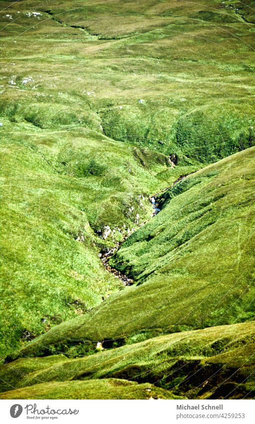 Bach fließt durch grüne Wiesen Irlands wiesen Republik Irland Natur saftig saftiges grün saftige wiese Menschenleer Ruhe Frieden stille Einsamkeit