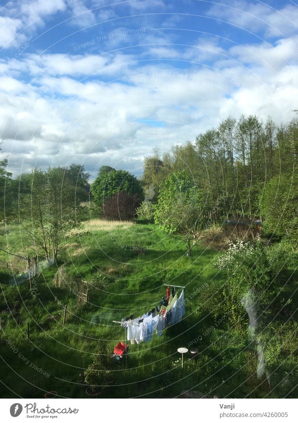Idylle Wiese Gras grün Natur Landschaft Wäsche trocknen Wäscheleine idyllisch draußen Außenaufnahme Ruhe Sauberkeit