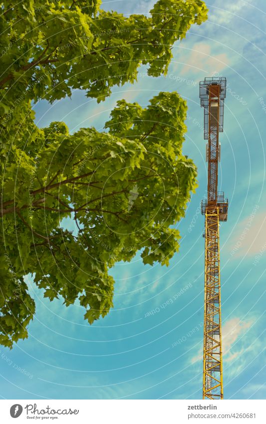 Baum mit Kran Hochbau außen baugewerbe bauindustrie baustelle drehkran froschperspektive gebäude gewerk himmel himmelblau ingenieurbau menschenleer montage