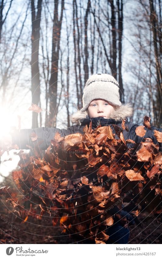 Herbst Spiel herbstlich Spielen Kind Blatt Jahreszeiten Jugendliche Junger Mann Gefühle Baum Wald Kindheit Kindheitserinnerung Leben Natur Umwelt Mensch