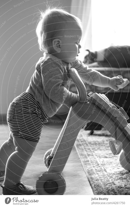 Kleinkind, das mit einem Schiebespielzeug laufen lernt; Kind greift nach dem Spielzeug an der Vorderseite des Rollators, um damit zu spielen Lernen stehen