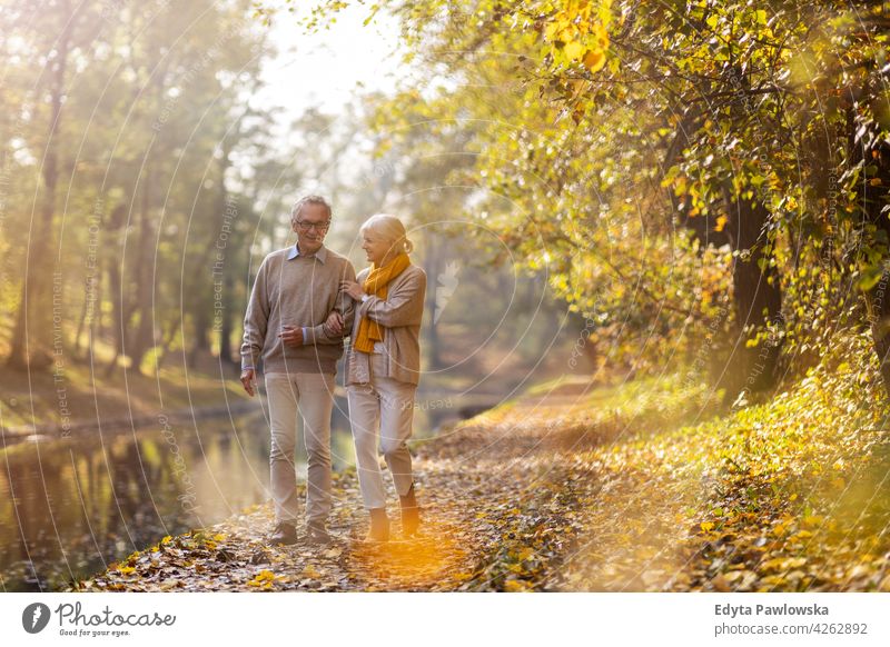 Senior Paar im Herbst Park Familie Frau Liebe Menschen im Freien Porträt Zusammensein Natur zwei schön fallen Bäume gelb reif Senioren Rentnerin Rentnerinnen
