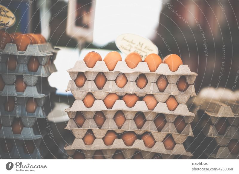 frische Eier auf einem Wochenmarkt Markt Marktstand Eierpaletten Lebensmittel Ernährung Eierkarton regional