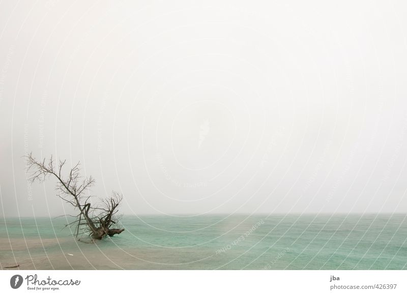 ertrunken Ferne Sommer Sommerurlaub Strand Meer Insel Wellen Umwelt Natur Urelemente Wasser Wolken Klima Unwetter Wind Regen Baum Küste Indonesien trashig trist