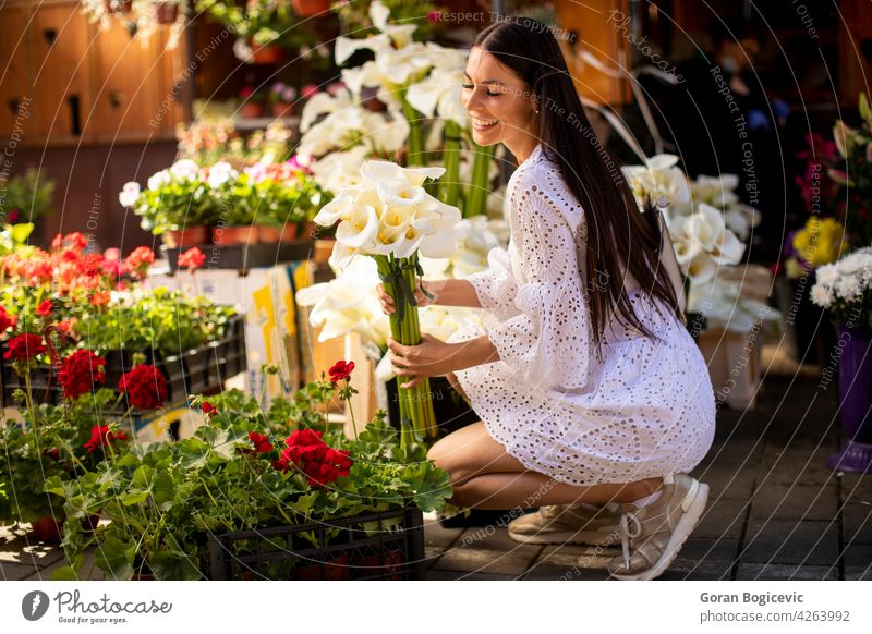 Junge Frau kauft Blumen auf dem Blumenmarkt Markt Schönheit kaufen schön jung grün Porträt Kunde Gartenarbeit Natur Laden Pflanze Erwachsener Kleid Jugend