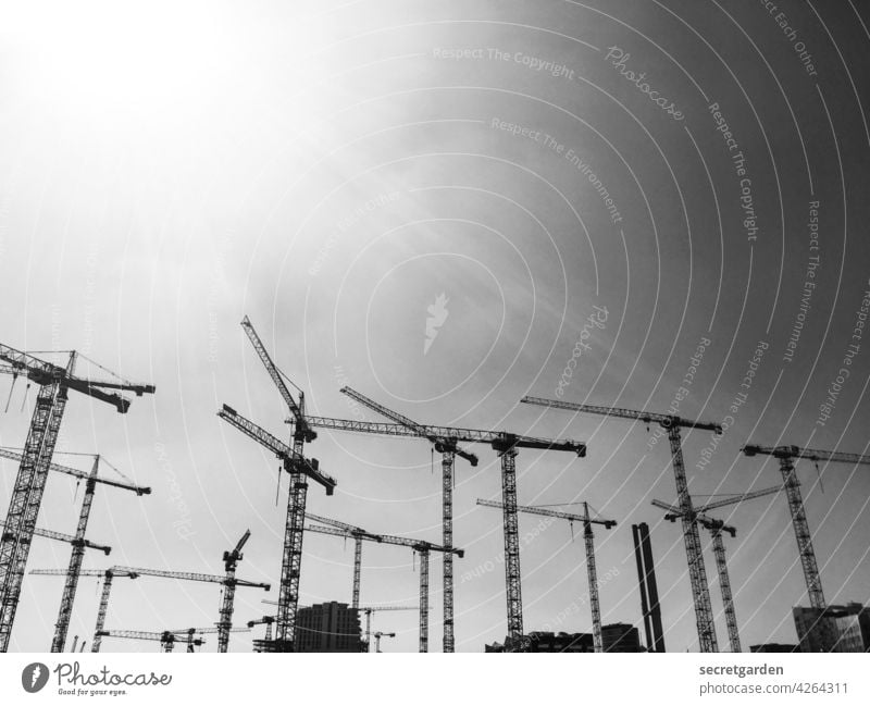 Kranballett Schwarzweißfoto Menschenleer Außenaufnahme Baustelle Wolken Arbeit & Erwerbstätigkeit Industrie Wirtschaft bauen Tag Himmel Technik & Technologie