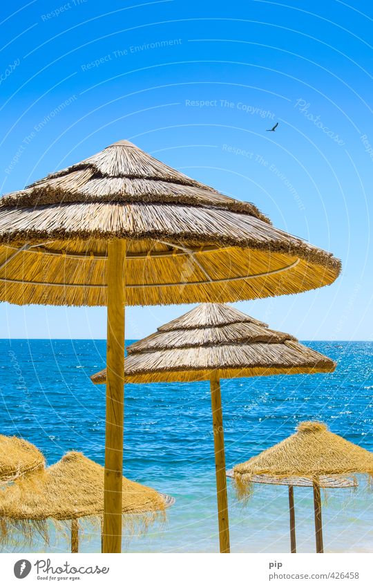 sunblocker Natur Wasser Himmel Sommer Schönes Wetter Wärme Küste Meer Sonnenschirm Schirm blau braun gelb Ferien & Urlaub & Reisen Tourismus Strohdach Schutz