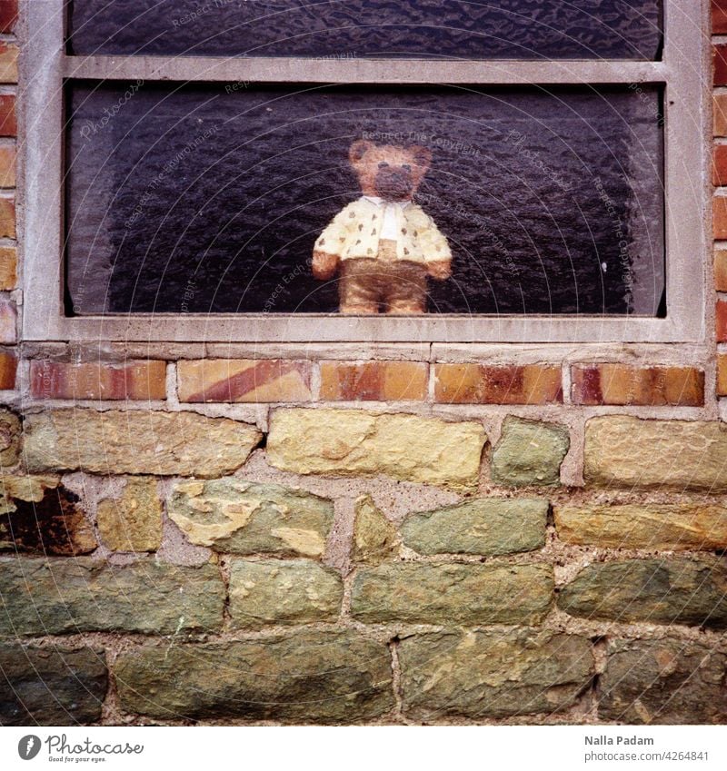 Teddy hinter Glas analog Analogfoto sw Schwarzweißfoto Spielzeug Fenster verschwommen traurig Traurigkeit Blick Außenwelt Innenwelt abgeschnitten Stein Wand