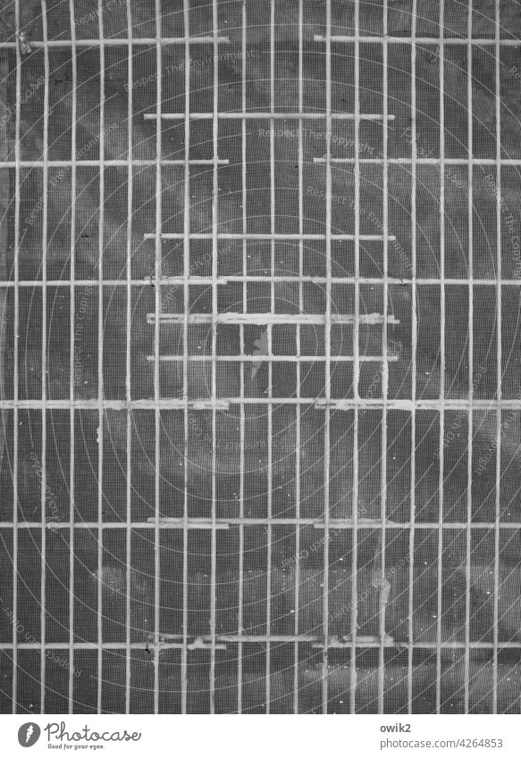 Gefüge Gitter Oberflächenstruktur Nahaufnahme Metall Holz Tür Strukturen & Formen abstrakt Muster Menschenleer Außenaufnahme Detailaufnahme Schwarzweißfoto