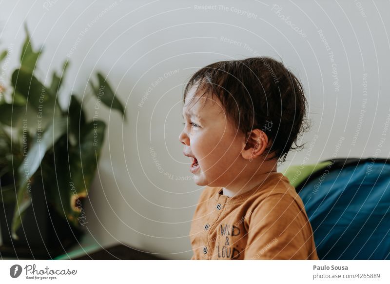 weinendes Kind 1-3 Jahre Kaukasier Weinen Gefühle Traurigkeit Porträt Junge Mensch Kindheit Farbfoto Kleinkind Enttäuschung Lifestyle mehrfarbig Leben