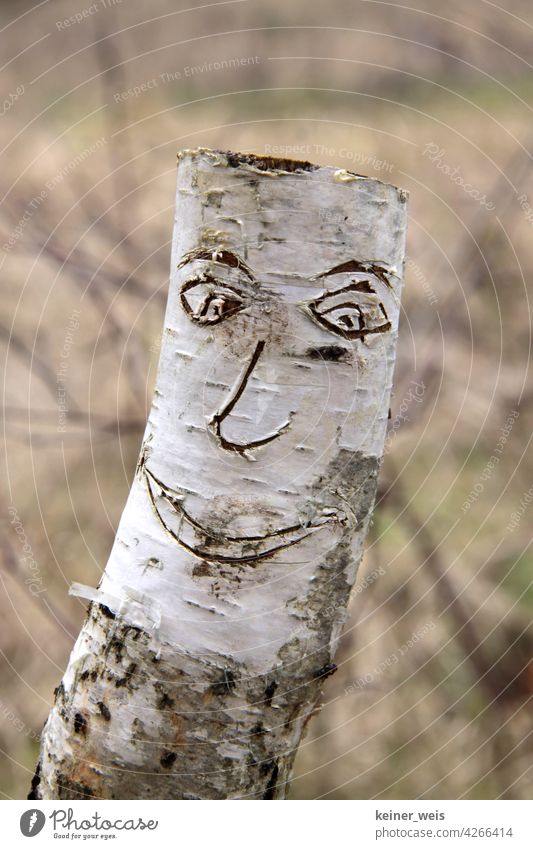 Ein lachendes Gesicht wurde in eine Birkenrinde geschnitten an einer abgesägten Birke Birkenstamm Holz weiß Baum Natur Außenaufnahme Farbfoto Menschenleer