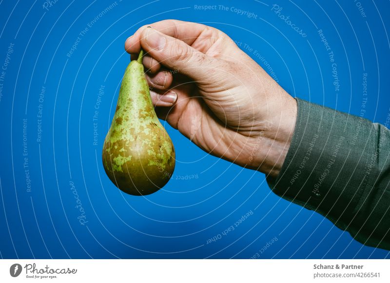 Männerhand hält Birne vor blauem Hintergrund Obst Stiel Hand einfarbiger Hintergrund Hemb Ernährung Schale Bio Freisteller Lebensmittel lecker Frucht Gesundheit