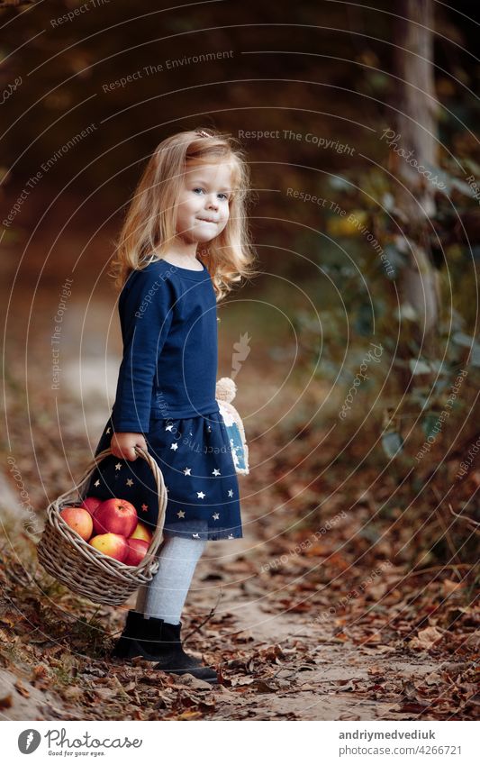 schönes junges Mädchen im Park mit Äpfeln. Schönes Mädchen erntet Äpfel. Das Kind hält Äpfel und einen Korb mit Äpfeln in seinen Händen. Ein Spaziergang im Garten.