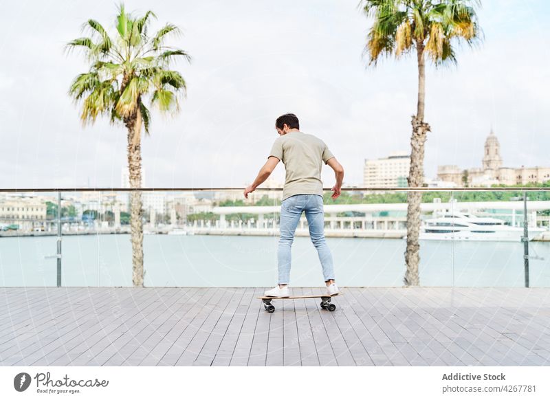 Männlicher Skateboarder fährt auf einer Böschung in einer tropischen Stadt Mann Skateboarderin Aktivität Fähigkeit Hobby Mitfahrgelegenheit Stauanlage