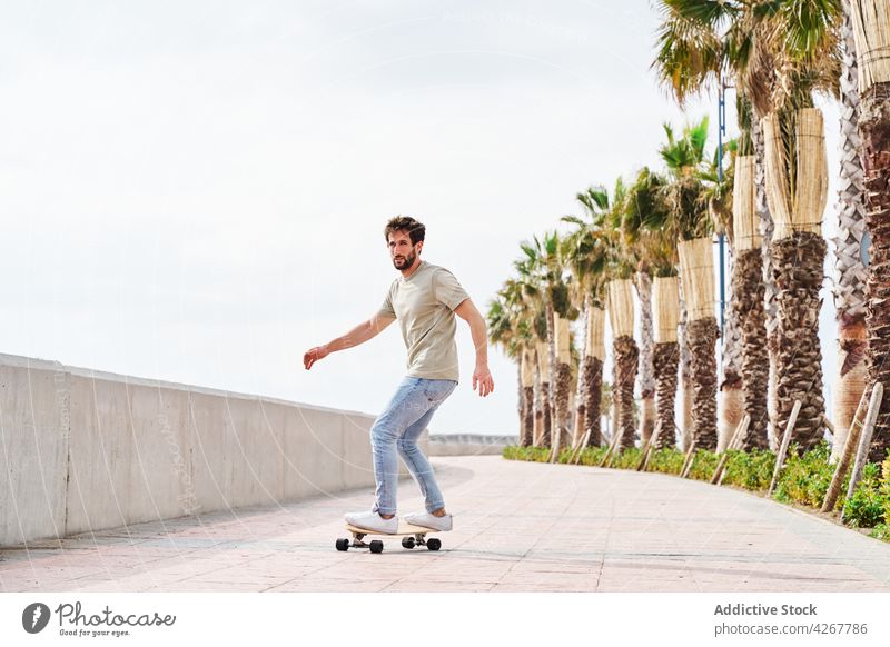 Männlicher Skateboarder fährt auf einer Böschung in einer tropischen Stadt Mann Skateboarderin Aktivität Fähigkeit Hobby Mitfahrgelegenheit Stauanlage
