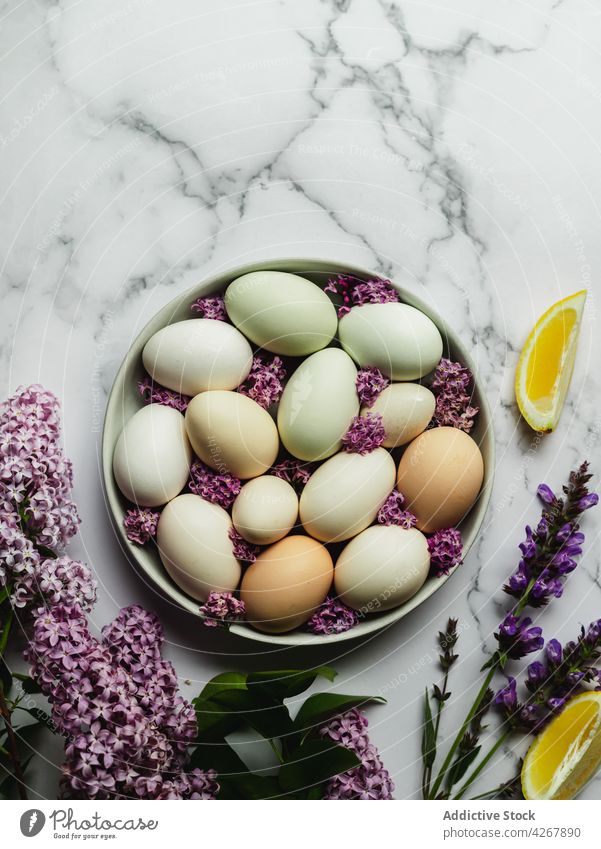 Rohe Eier mit blühenden Lavendelblüten auf Marmoroberfläche Zitrone Bestandteil Frucht Blume natürlich Produkt roh Teller Aroma organisch frisch Pflanze