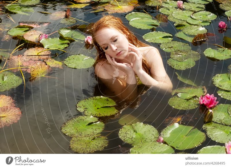 Porträt der sexy jungen Rothaarige Frau Meerjungfrau sitzt verführerisch mit rosa Seerosen im Wasser, See, Teich Rotschopf sensibel Eleganz schwimmen Szene