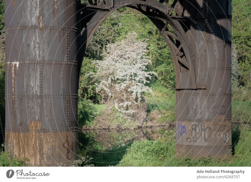Rahmen im Rahmen durch die Beine einer längst verlassenen Eisenbahnbrücke Brücke Fluss Graffitti alt verlassenes Gebäude Verlassen Ferien & Urlaub & Reisen