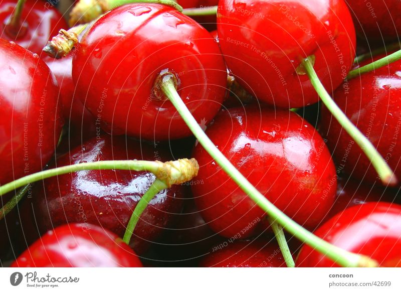 Rot & knackig I Kirsche Sommer Wassertropfen lecker frisch süß glänzend saftig Frucht