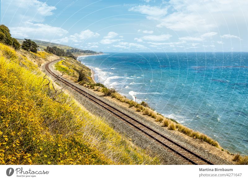 Pazifik-Eisenbahnlinie entlang der Küste von Kalifornien mit blühenden Wildblumen im Frühling pazifik Big Sur reisen Meer Zug Landschaft Strand blau Schiene