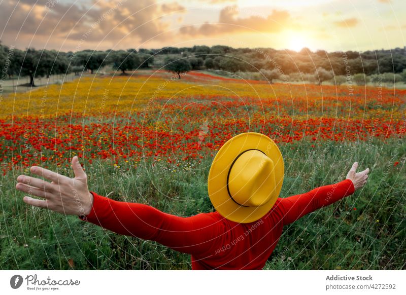 Gesichtsloser Mann mit gelbem Hut und ausgestreckten Armen in einem blühenden Feld Stil Freiheit Landschaft ausdehnen Blütezeit Natur sorgenfrei friedlich