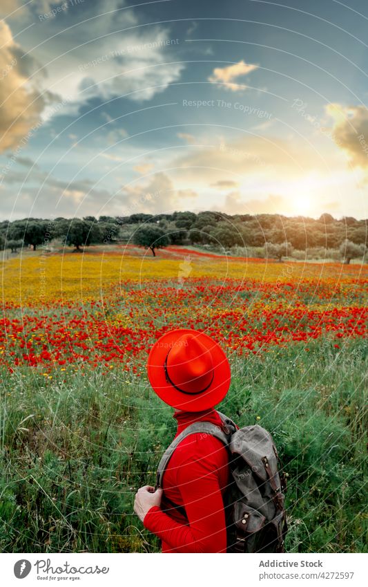 Gesichtsloser Mann mit gelbem Hut steht in einem blühenden Feld Stil Freiheit Landschaft Rucksack Blütezeit Natur sorgenfrei friedlich Backpacker stehen lässig
