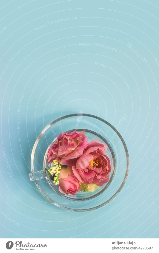 Draufsicht auf einen transparenten Glasbecher voller Blumen; Frühlingshintergrund mit Kopierraum Anzeige Ästhetik Jahrestag Aromatherapie Kunst kunstvoll blau