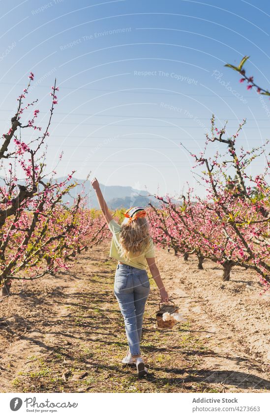 Unbekümmerte Frau geht entlang eines Feldes mit blühenden Bäumen Baum Blütezeit Garten Blume führen Weide Korb Landschaft Pflanze wachsen Flora üppig (Wuchs)