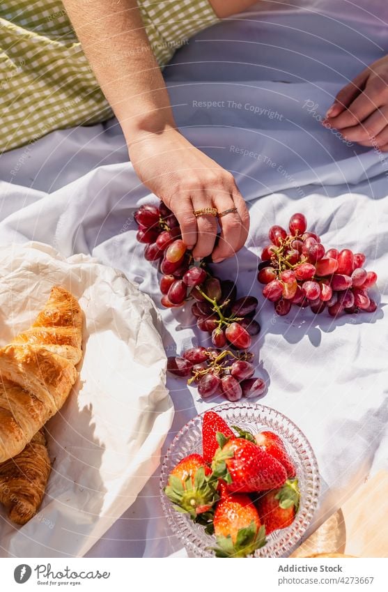 Frau nimmt beim Picknick Weintrauben aus einer Schale Trauben Frucht Focaccia Croissant Lebensmittel geschmackvoll süß lecker essen Vitamin reif Beeren
