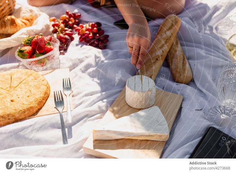 Frau schneidet Käse auf Holzbrett für Picknick geschnitten Brie Camembert Messer Italienisch Lebensmittel köstlich lecker geschmackvoll Scheibe Ernährung Brot
