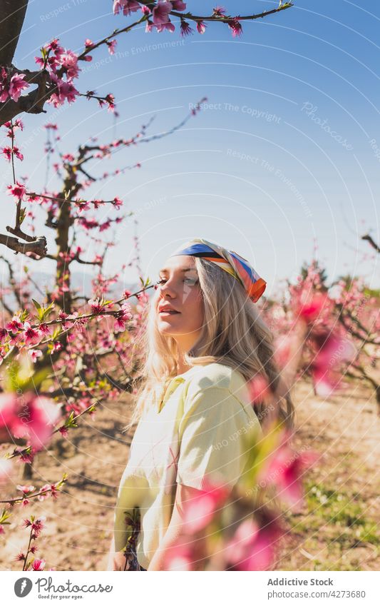 Frau in der Nähe blühender Blumen eines Baumes Garten Blütezeit Ast Bauernhof Aroma Wittern Sonnenlicht Flora frisch Wachstum filigran Sonnenschein Pflanze