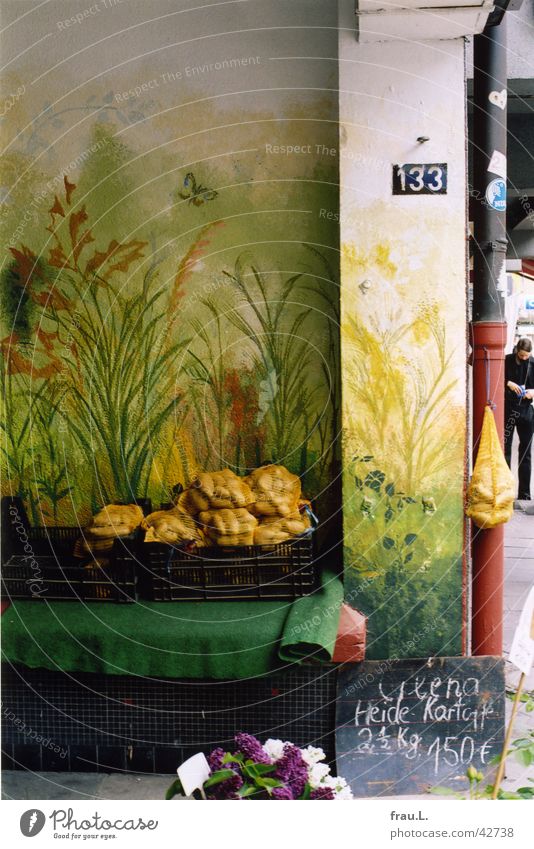 romantischer Straßenhändler Fliederbusch Wandmalereien Blume Arbeit & Erwerbstätigkeit Gemüse Kartoffeln Toreinfahrt osterstraße Hofeinfahrt