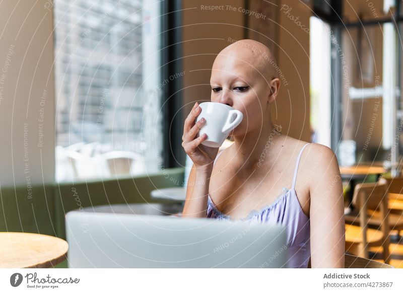 Haarlose Frau, die aus der Ferne an einem Netbook arbeitet und eine Kaffeetasse trinkt Laptop Telearbeit haarlos Kantine Tasse trinken modern selbständig Stuhl