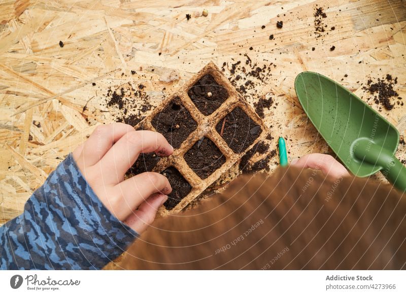 Ein Kind gräbt Löcher in einem Behälter mit Erde Graben Golfloch Container Samenstreuer Gartenarbeit abbaubar Öko verschütten natürlich Tisch Werkzeug Boden
