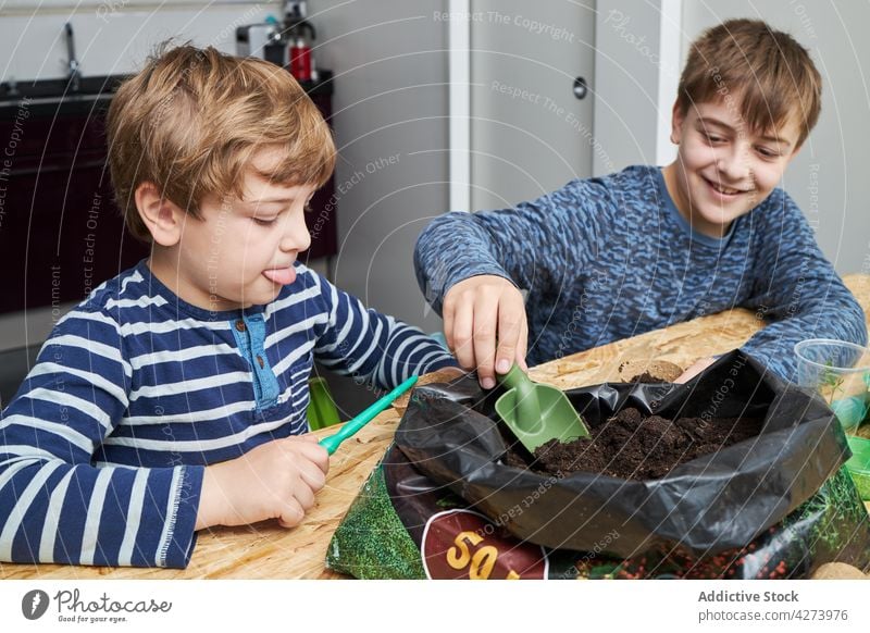 Junge mit Gartenkelle und Erde gegen Bruder zu Hause Boden Kelle Gartenarbeit Tasse umweltfreundlich Lächeln achtsam natürlich abbaubar nehmen Kinder Werkzeug