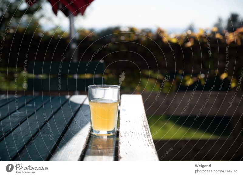 Glas mit Apfelsaft auf der Terrasse Sommer Saft bio Trinken Getränk Slowfood Bayern Pause Erfrischungsgetränk Frische