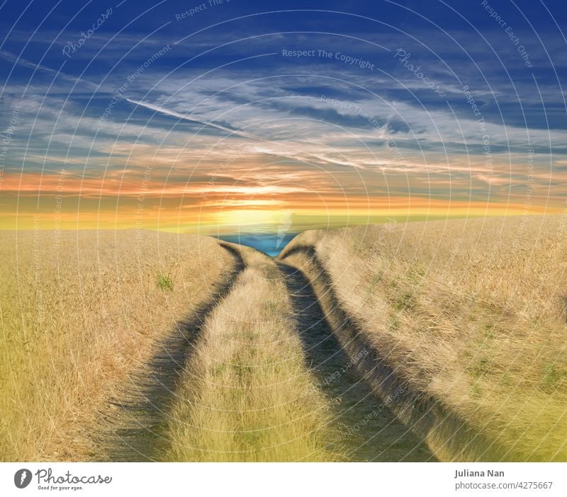 Beautiful Tranquil Nature Background.Amazing Rural Scene.Art Design.Creative Photography.Conceptual Photo.Fantasy Art.Artistic Wallpaper.Yellow Color.Golden Wheat Field at Sunset.Blue Sky and Clouds.Orange Color.Unique Summer Landscape.Sun,road,way.