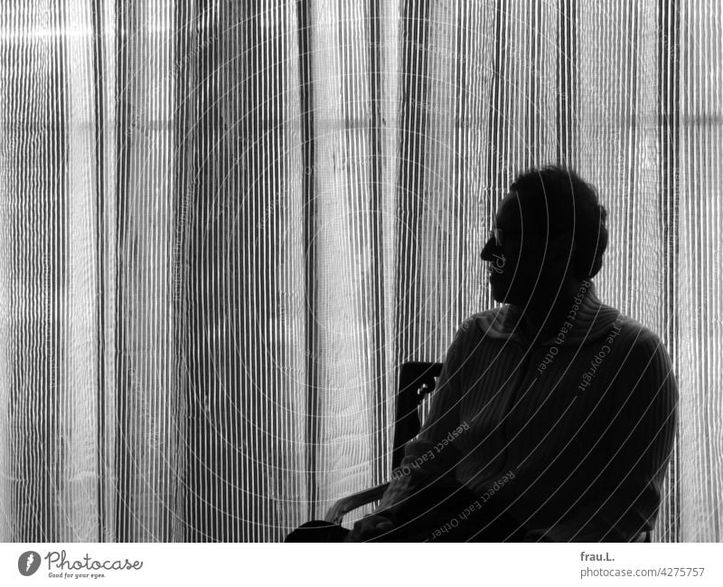 Dekorativ rumsitzen Porträt Brille Mann Gesicht Profil Gardine Mensch Silhouette Sessel