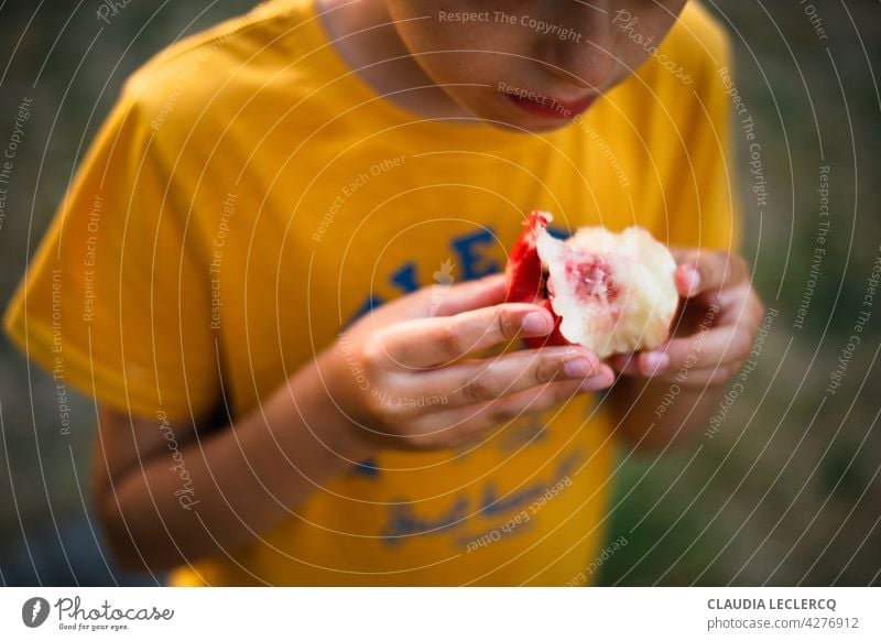 Junge isst einen Pfirsich einen Pfirsich essend Sommer Frankreich Farbfoto Frucht Lebensmittel Ernährung Gesunde Ernährung Vegetarische Ernährung Foodfotografie