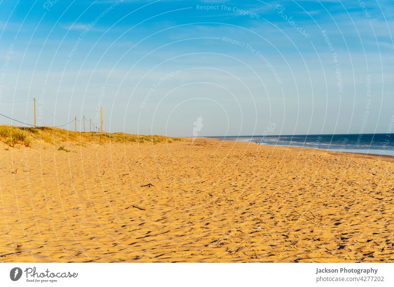 Breiter Sandstrand von Faro mit Dünen und Spazierwegen bei Sonnenuntergang, Algarve, Portugal Strand Pflanze Mast Weg hölzern Promenade Dunes algarve küste