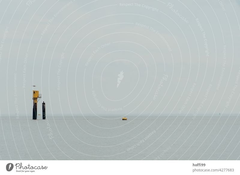 Rettungsbake mit Möwe und Boje im Wattenmeer Einsamkeit ruhiges Wasser Rettungsgeräte seichtes Wasser minimalistisch Nordsee Küste Strand Horizont Ferne Ebbe