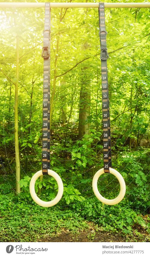 Gymnastikringe mit nummerierten Bändern, die in einem Park hängen. gymnastisch Kalisthenisch Sport Ring im Freien Training Bar Übung Fitness Aktivität Lifestyle