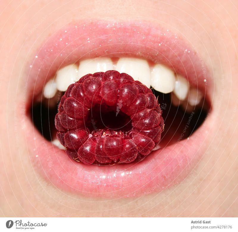Eine rote frische Himbeere im Mund von einer jungen Frau Lippen Zähne Gesicht Obst Beere Frucht Lippenstift Früchte hübsch schön Lecker Gesund Essen Kosten