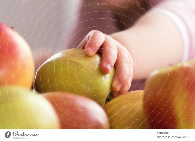 grün, gelb, rot | reifeprüfung Frucht Reife Kinderhand greifen Obst Apfel Bioprodukte lecker saftig Ernährung frisch Lebensmittel süß Vitamin organisch