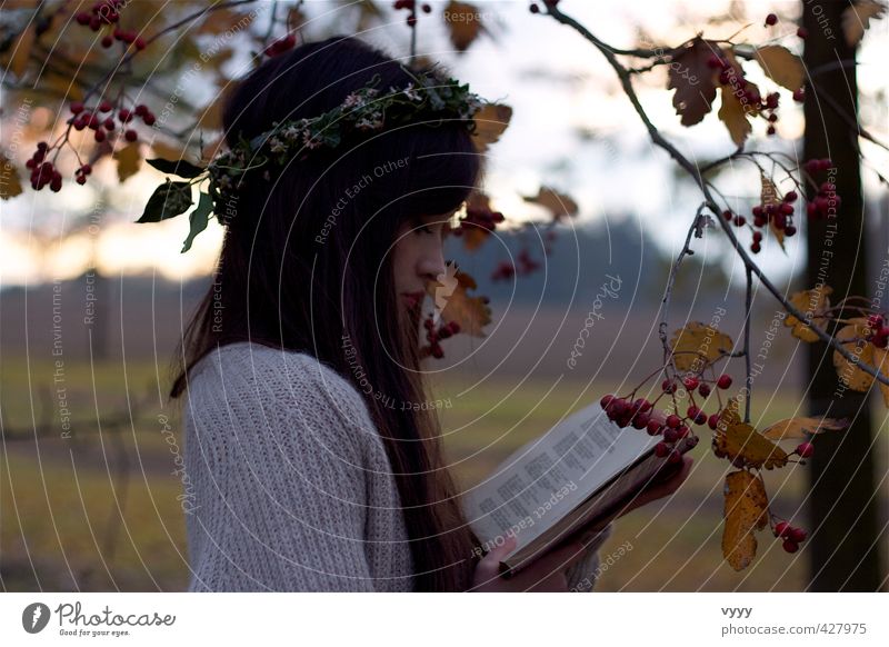 dreaming feminin Mädchen 1 Mensch 13-18 Jahre Kind Jugendliche Landschaft Herbst schwarzhaarig langhaarig Buch lesen träumen schön Stimmung Sehnsucht