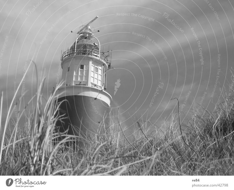 Glühtürmchen Niederlande Leuchtturm schwarz weiß grau Gras Wolken Architektur Turm Nordsee Wind Stranddüne Himmel Texel