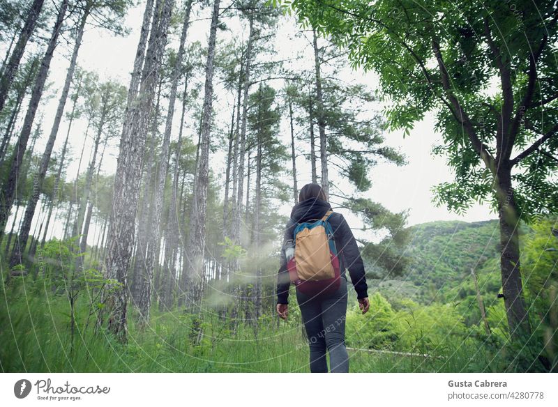 Frau von hinten mit Rucksack, zu Fuß und erkundet einen Wald. Natur grün Baum Blatt Abenteuer Abenteurer Entdecker Erkundung reisen turistisch Wanderer Tourist